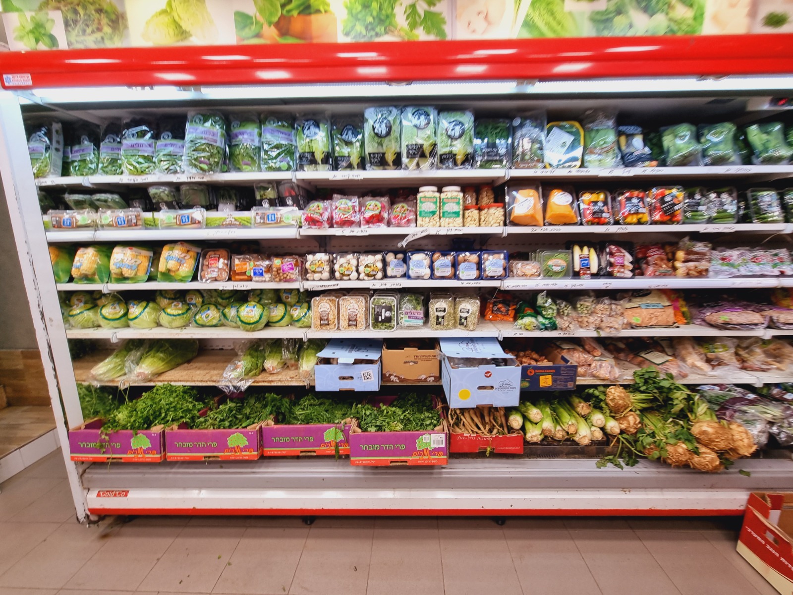 WhatsApp Image 2022-03-29 at 1.24.01 PM.jpeg